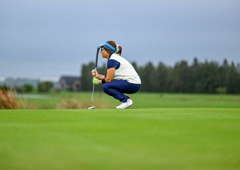 ALTOS   GOLF CARRITO